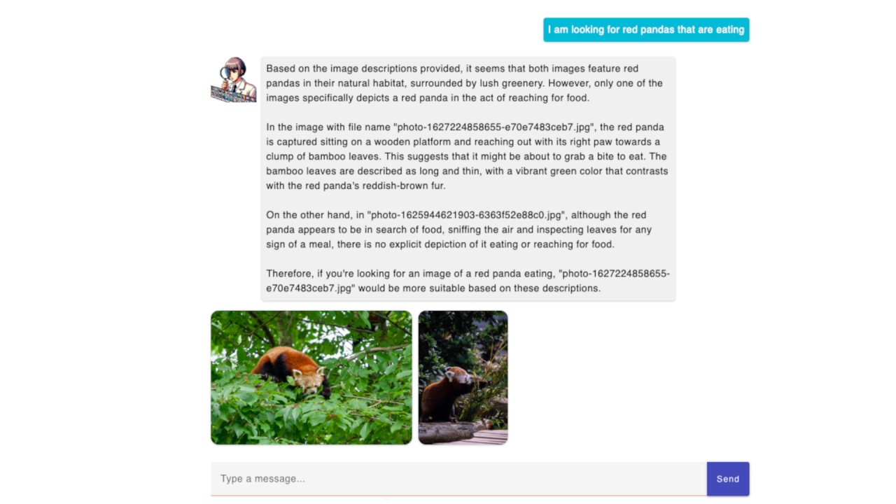 Chat with Your Photos: Revolutionizing Asset Cataloging with GPT-4 Vision