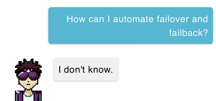 Chatbot Hallucination Example